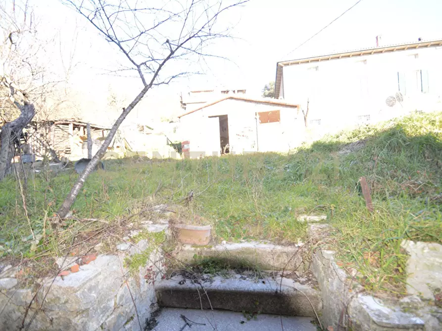 Immagine 6 di Casa indipendente in vendita  a Semproniano