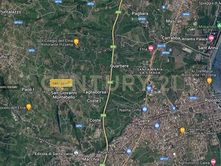 Immagine 50 di Villa in vendita  in Via Musumeci 47 a Giarre