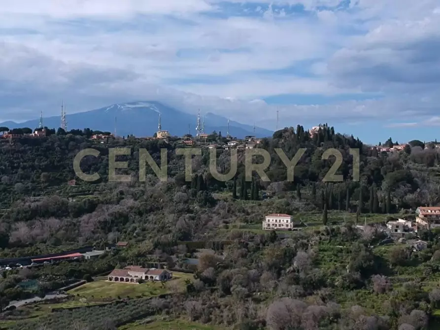 Immagine 15 di Terreno agricolo in vendita  in Via Trieste 59 a Aci Castello