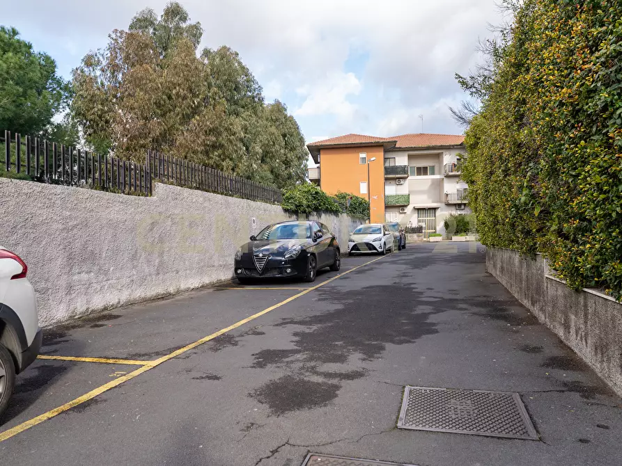 Immagine 9 di Trilocale in vendita  in Via Tremestieri 16 a Mascalucia