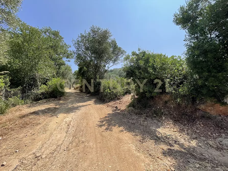 Immagine 9 di Rustico / casale in vendita  in località cannatelli snc a Monte Argentario