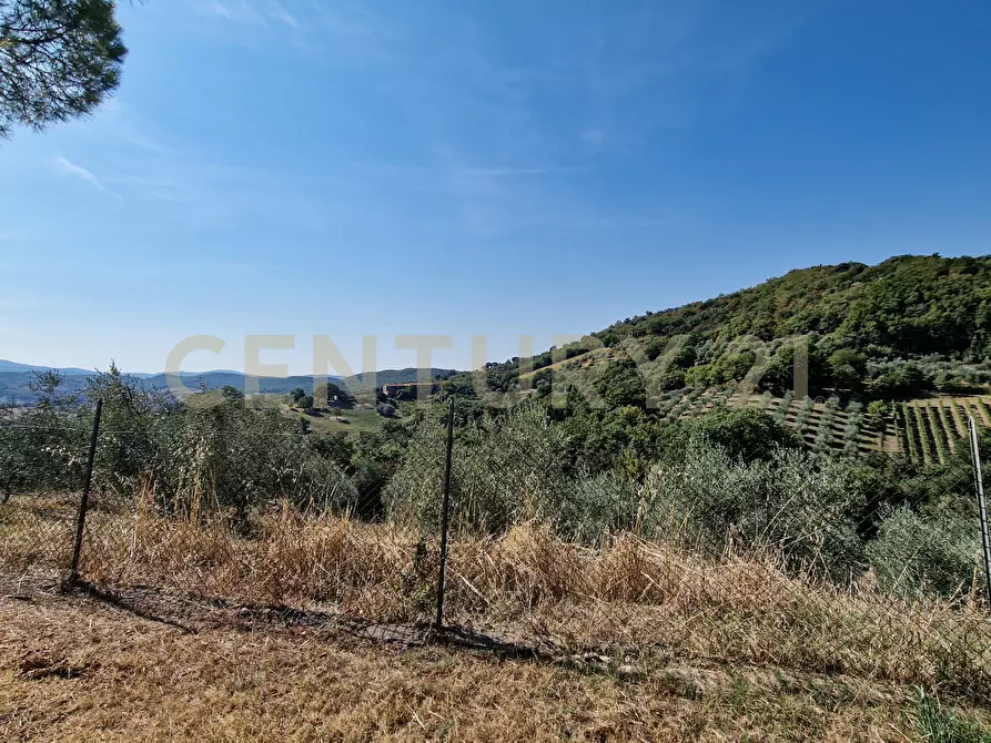 Immagine 21 di Rustico / casale in vendita  in Strada Provinciale Voltina 12 a Cinigiano