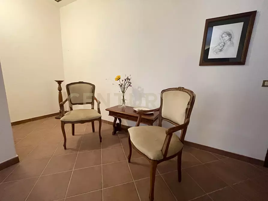 Immagine 18 di Azienda agricola in vendita  in località colle di lupo a Magliano In Toscana