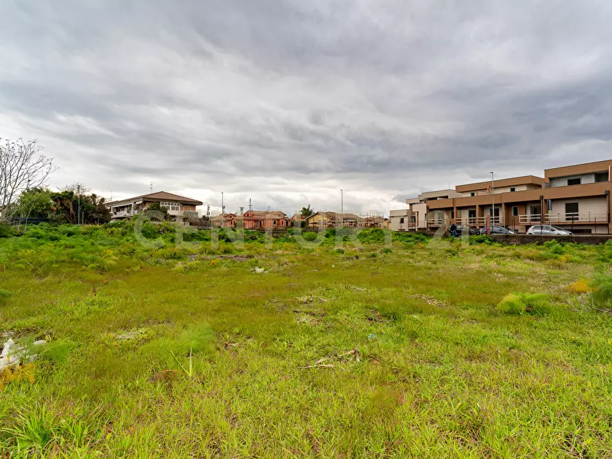Immagine 20 di Terreno agricolo in affitto  in Via Dante Alighieri a San Gregorio Di Catania