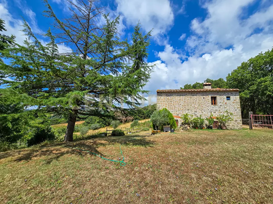 Immagine 22 di Rustico / casale in vendita  in podere le rocchette snc a Roccastrada