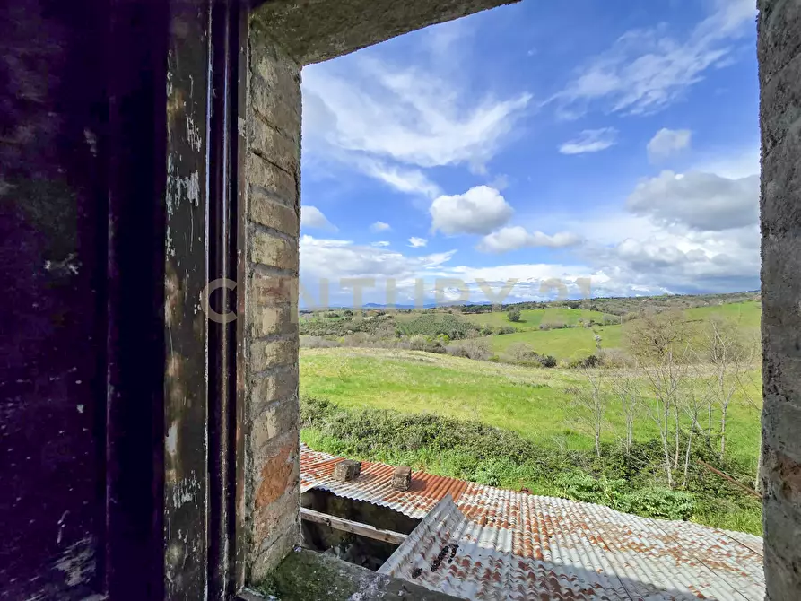 Immagine 23 di Rustico / casale in vendita  in località mandorlaie a Scansano