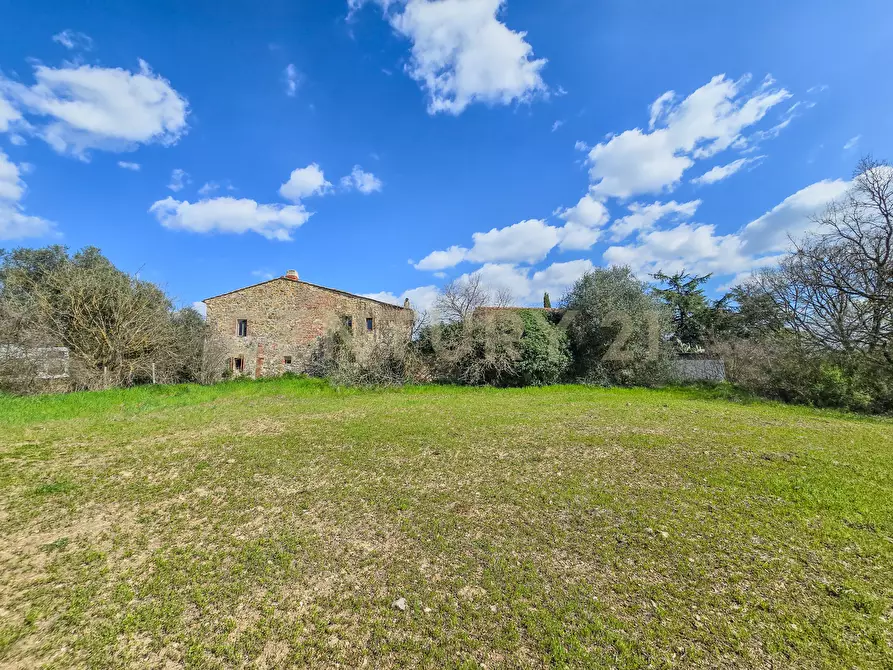 Immagine 2 di Rustico / casale in vendita  in Vial podere nuovo snc a Civitella Paganico