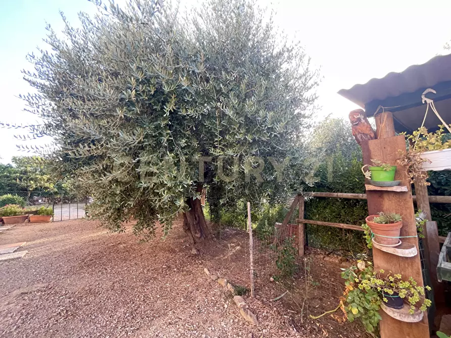 Immagine 16 di Porzione di casa in vendita  in Strada Vicinale di San Donato 36 a Orbetello