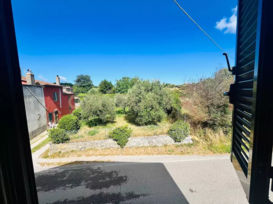 Immagine 5 di Appartamento in vendita  in Via Case Balducci 17 a Scansano