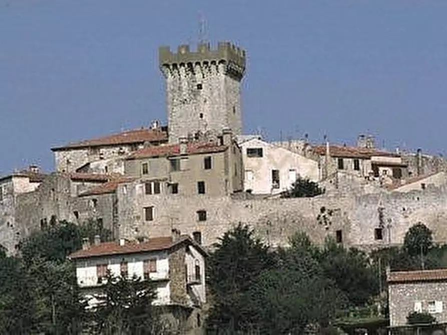 Immagine 1 di Pentalocale in vendita  in Piazza Silone Ignazio 29 a Capalbio