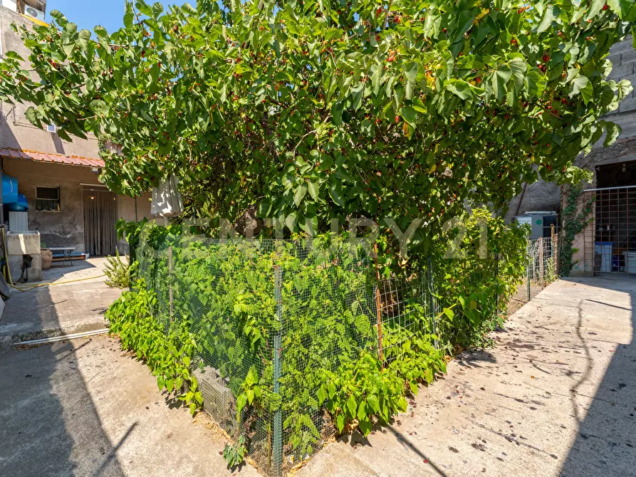 Immagine 10 di Casa indipendente in vendita  in Via Roma 66 a Camporotondo Etneo