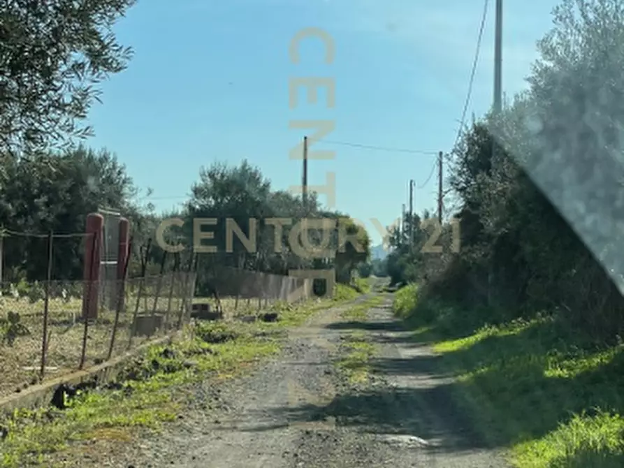 Immagine 5 di Terreno agricolo in vendita  in contrada agnelleria a Belpasso