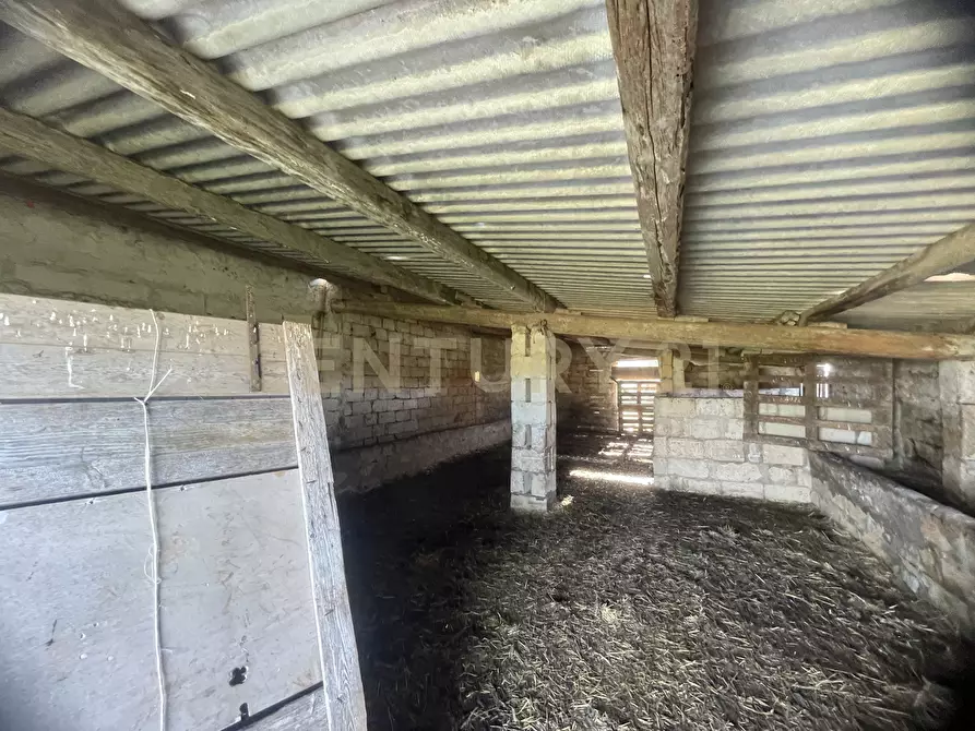 Immagine 17 di Terreno agricolo in vendita  in CONTRADA CORRIDORE CAMPANA SNC a Portopalo Di Capo Passero