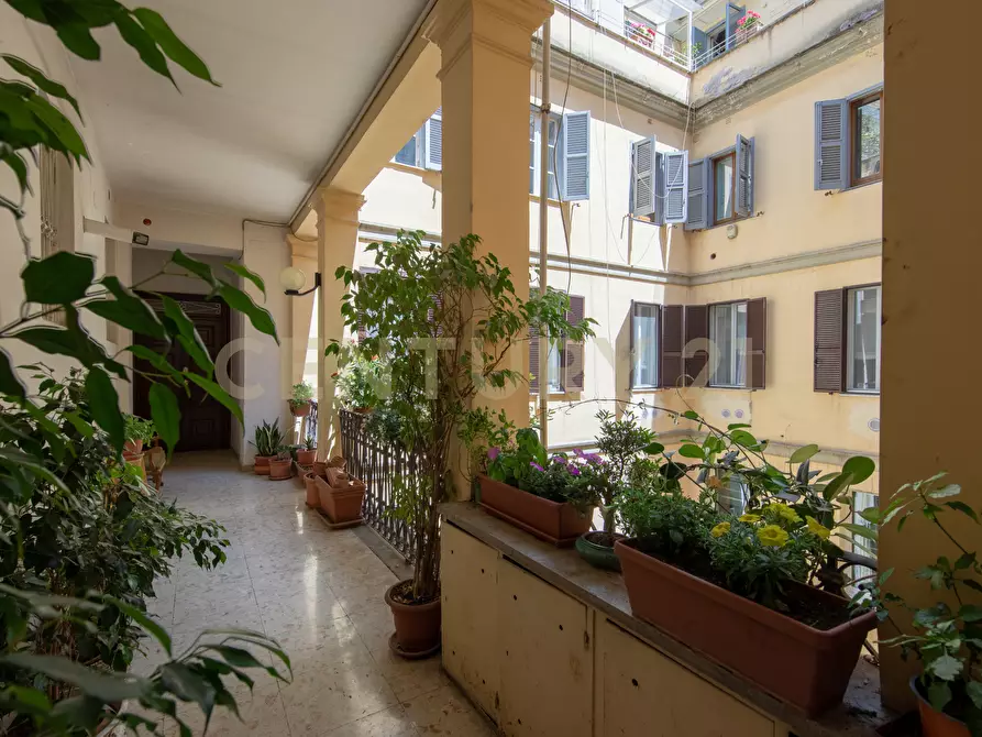 Immagine 36 di Quadrilocale in vendita  in Via Plinio 22 a Roma