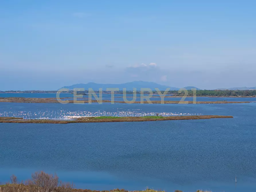 Immagine 36 di Trilocale in vendita  in Via Giovanni Falcone a Orbetello
