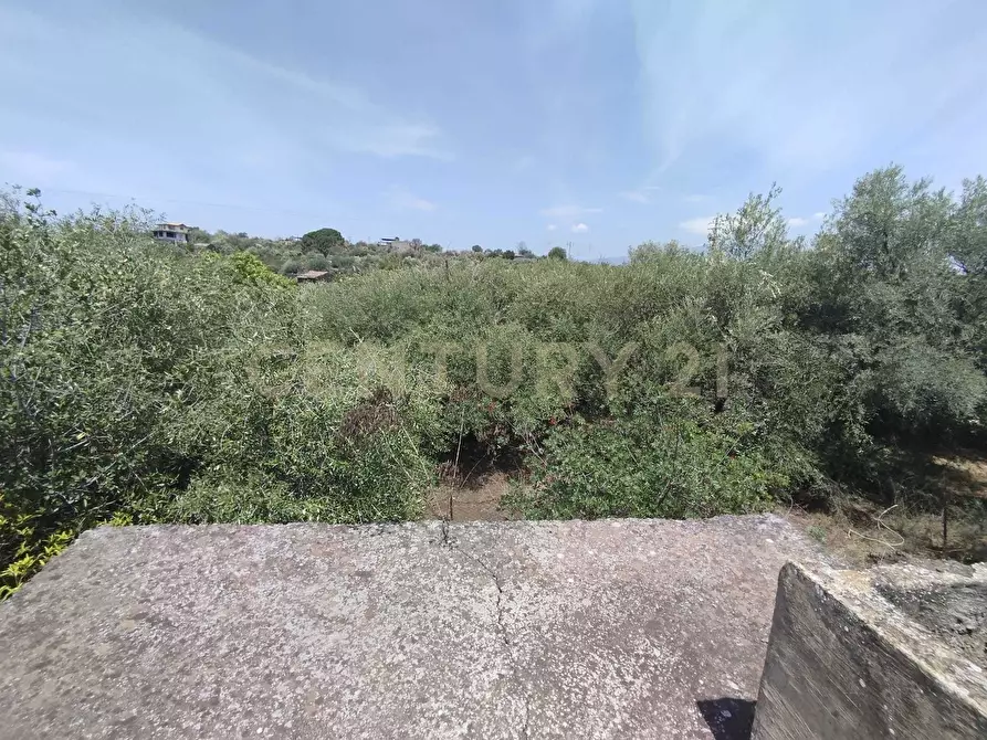 Immagine 7 di Terreno agricolo in vendita  in CONTRADA MANGIONE snc a Catania