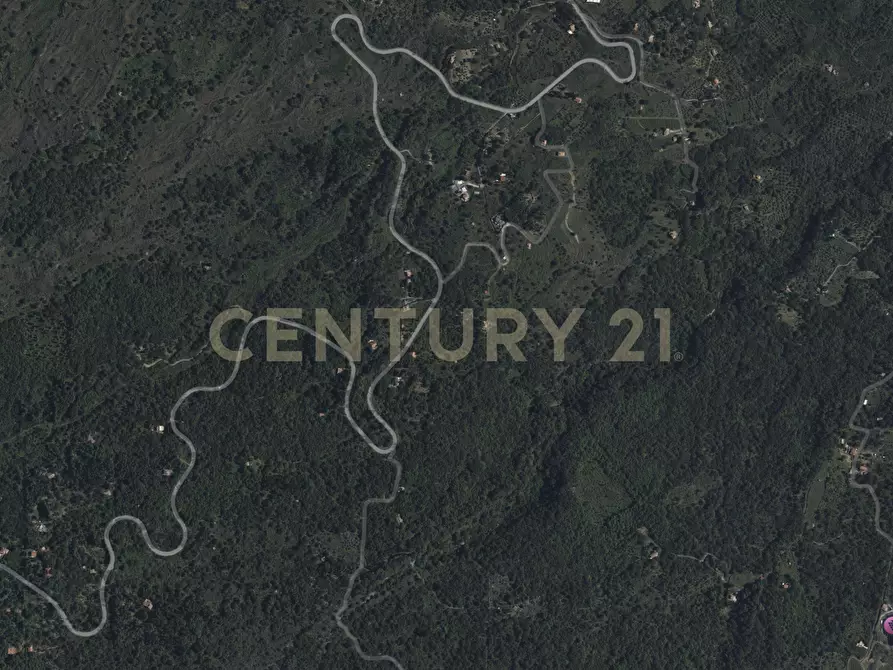 Immagine 60 di Villa in affitto  in Strada Regionale Mareneve SNC a Linguaglossa