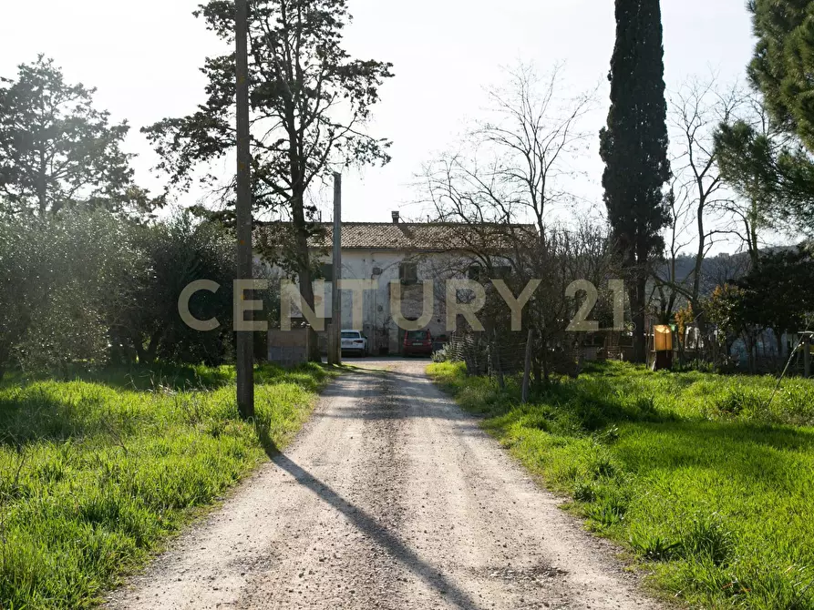 Immagine 19 di Rustico / casale in vendita  a Civitella Paganico