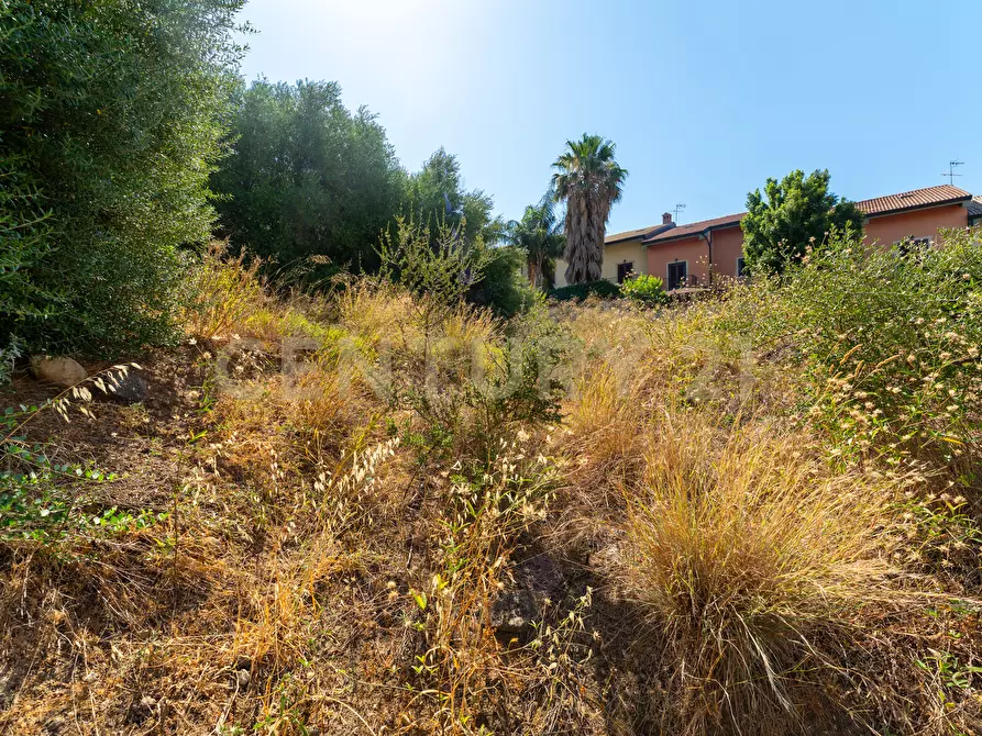 Immagine 33 di Terreno industriale in vendita  in Vico Igino Giordani 43 a Paterno'