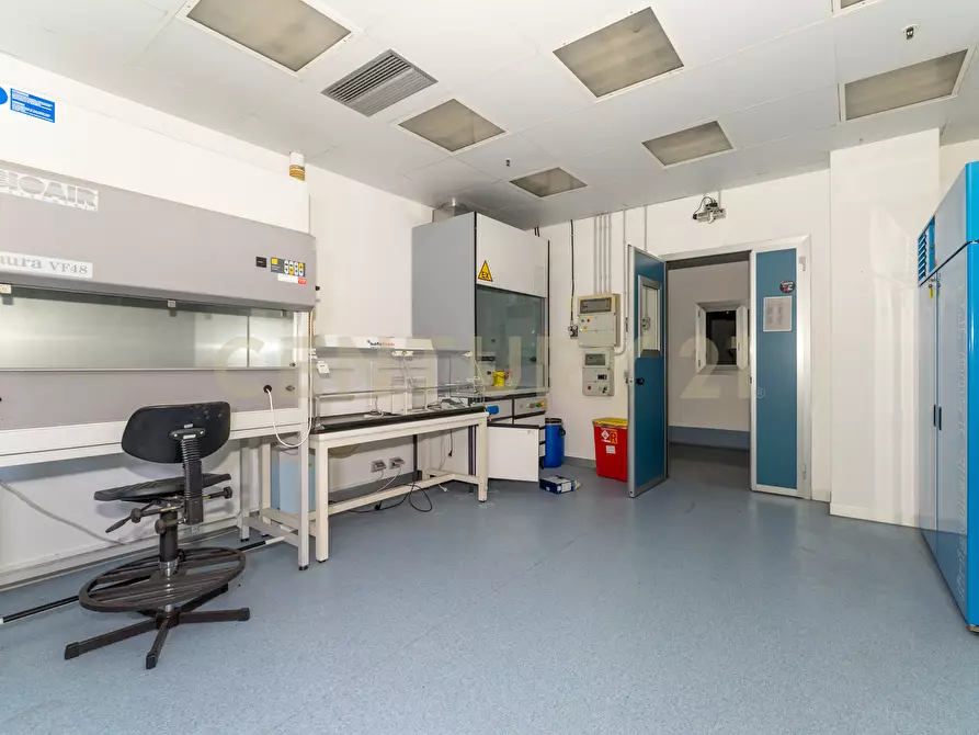 Immagine 4 di Attività artigianale in vendita  in Strada III Mimosa 14 a Catania