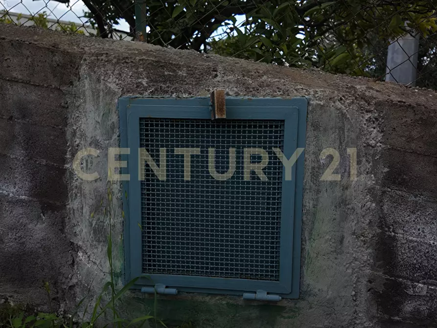 Immagine 23 di Terreno agricolo in vendita  in Contrada malvezzaro a Santa Maria Di Licodia