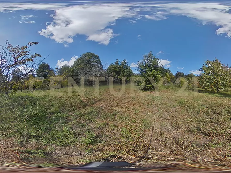 Immagine 60 di Villa in vendita  in Contrada Scolaro Cisterna a Adrano