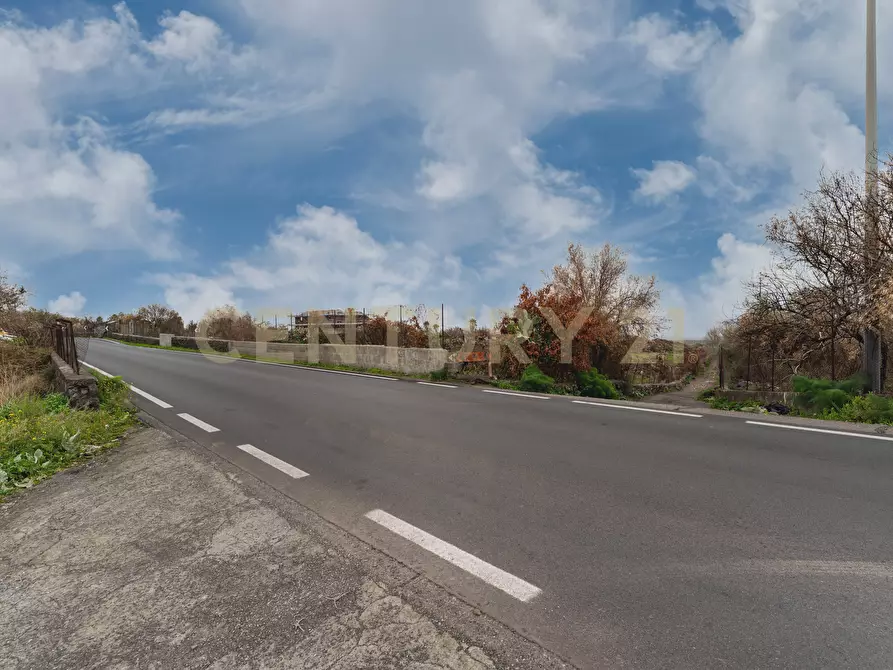 Immagine 2 di Terreno agricolo in vendita  in Via Santa Maria di Licodia a Belpasso