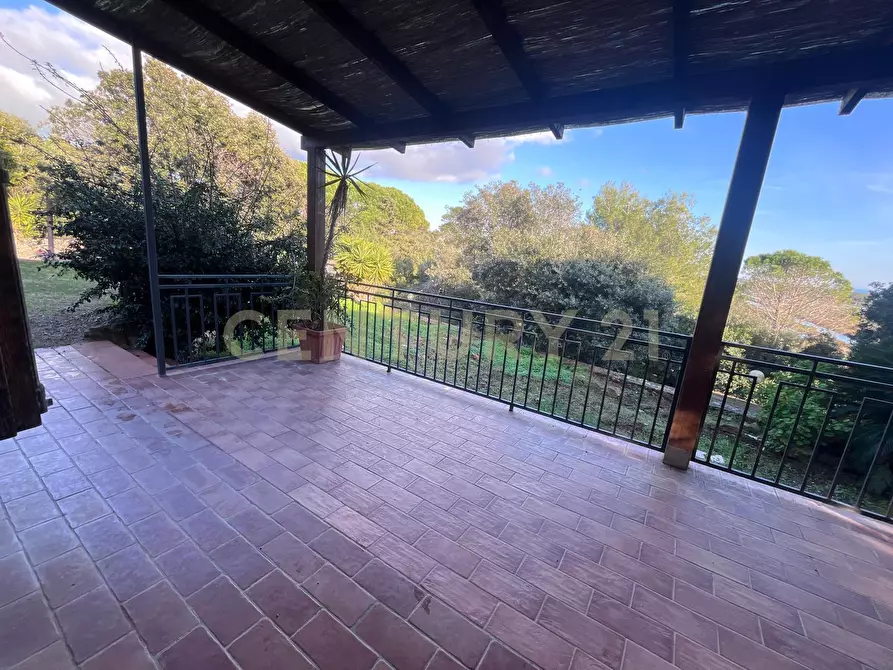 Immagine 24 di Villa in vendita  in Via delle Ginestre 80 a Orbetello