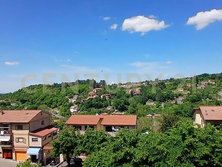 Immagine 17 di Attico in vendita  in Via Isidoro Maggi a Arcidosso