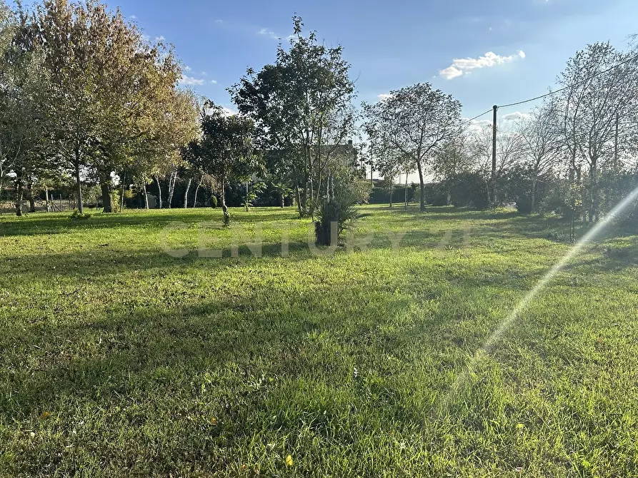 Immagine 58 di Rustico / casale in vendita  in Via Trento 70 a Minerbe