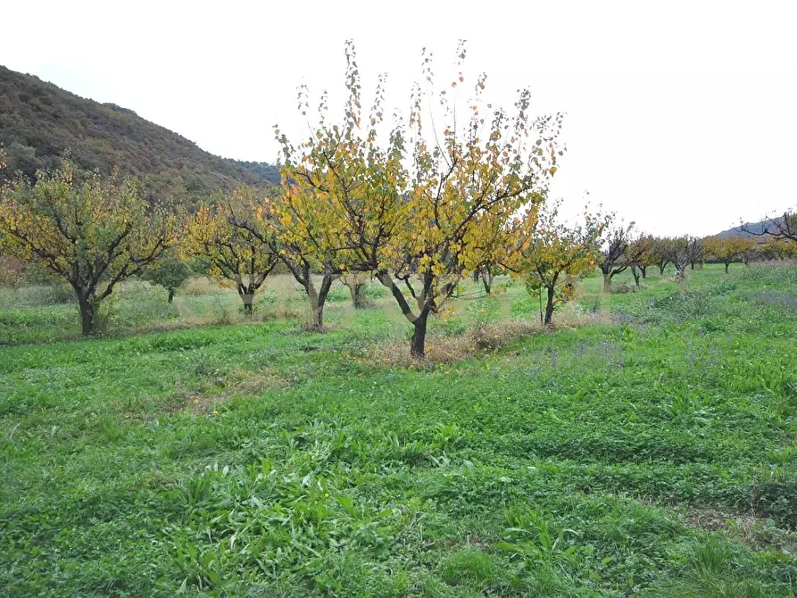 Immagine 15 di Rustico / casale in vendita  in Via Squaranto 6 a Verona