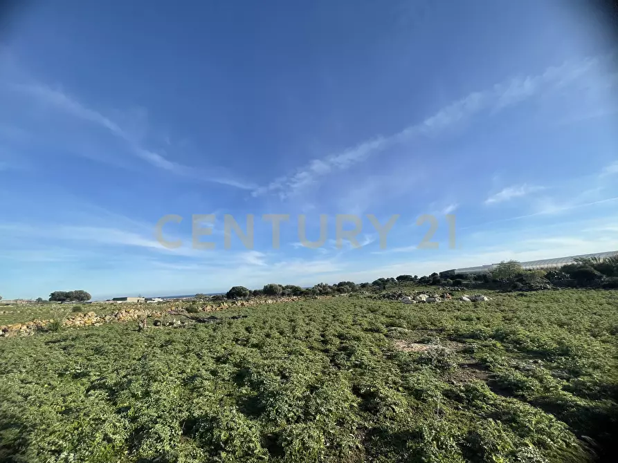 Immagine 24 di Terreno agricolo in vendita  in CONTRADA CORRIDORE CAMPANA SNC a Portopalo Di Capo Passero