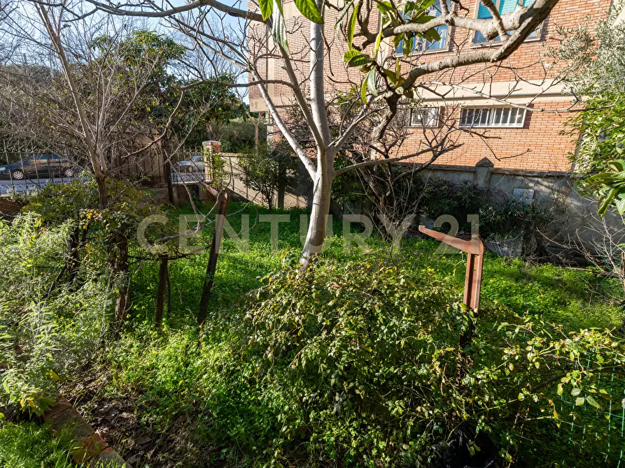 Immagine 30 di Villa in vendita  in Via Fratelli Bandiera a Grosseto