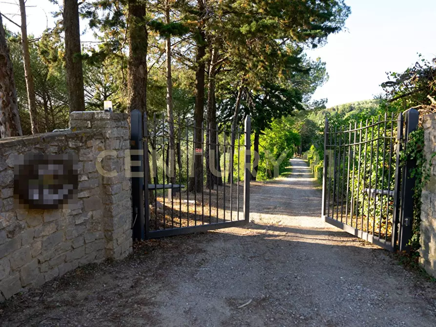 Immagine 96 di Rustico / casale in vendita  a Cinigiano