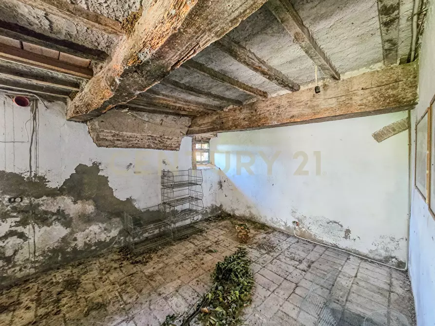Immagine 14 di Rustico / casale in vendita  in Vial podere nuovo snc a Civitella Paganico