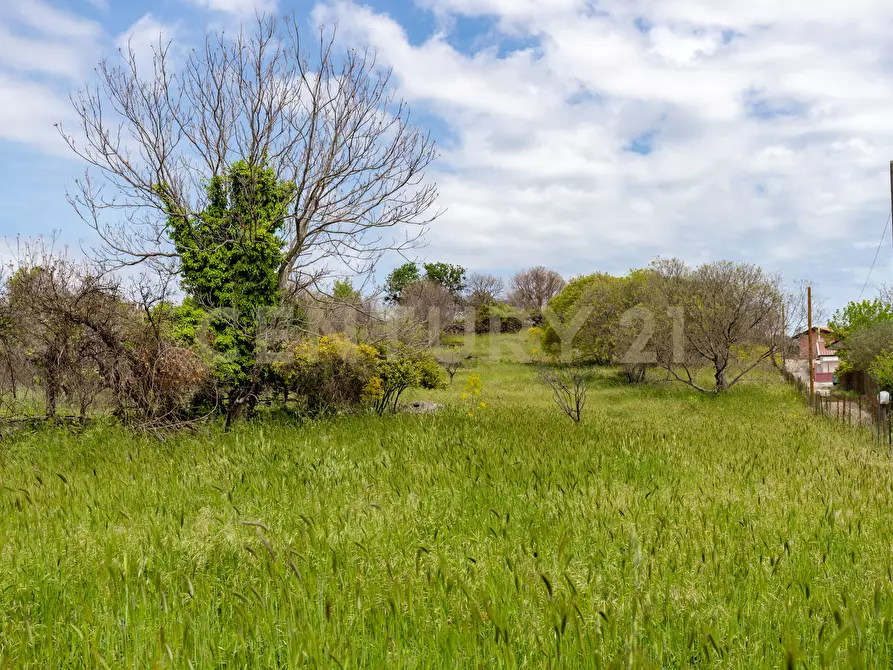 Immagine 21 di Terreno industriale in vendita  in Via dei Belfiore 4 a Valverde