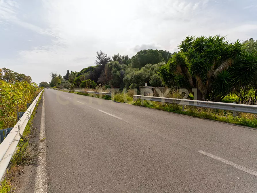 Immagine 38 di Terreno agricolo in vendita  in Contrada Vaccarizzo a Catania