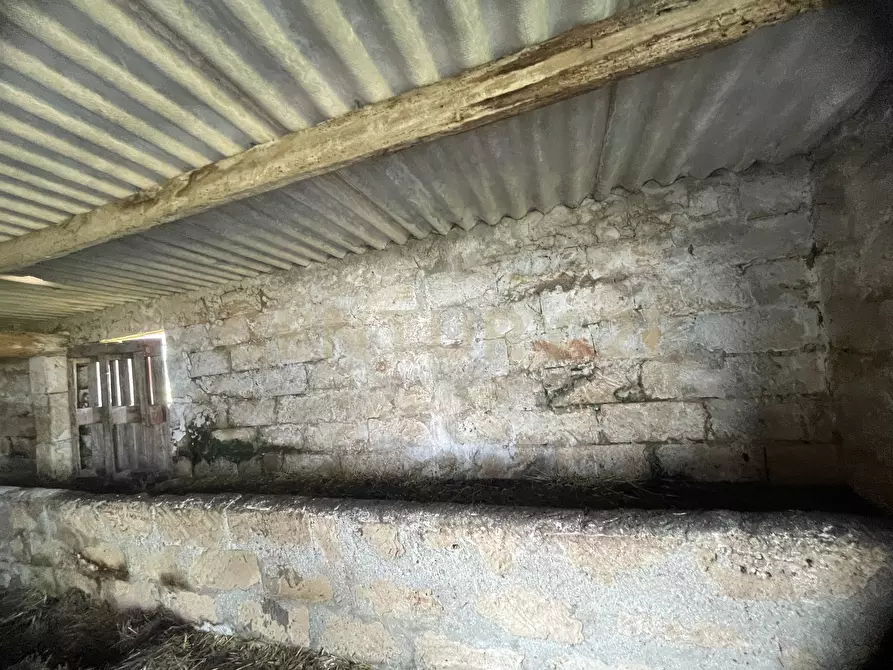 Immagine 18 di Terreno agricolo in vendita  in CONTRADA CORRIDORE CAMPANA SNC a Portopalo Di Capo Passero