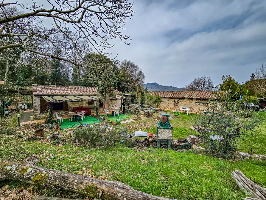 Immagine 29 di Rustico / casale in vendita  in Località Camaiano snc a Roccastrada