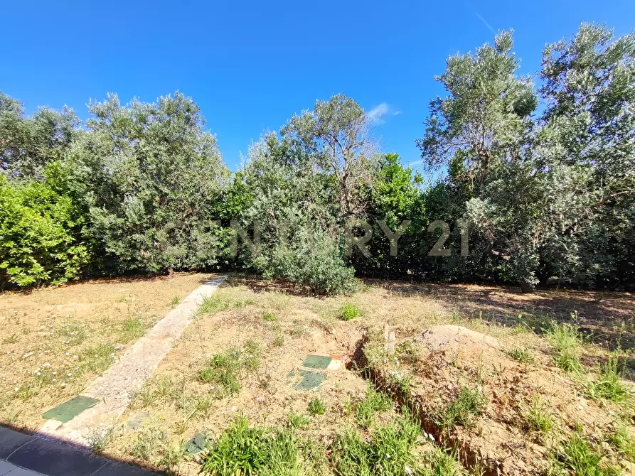 Immagine 9 di Casa bifamiliare in vendita  in Via san martino snc a Castiglione Della Pescaia