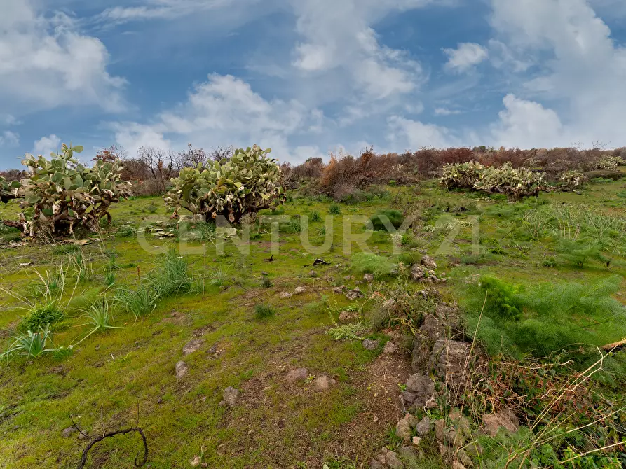 Immagine 25 di Terreno agricolo in vendita  in Via Santa Maria di Licodia a Belpasso
