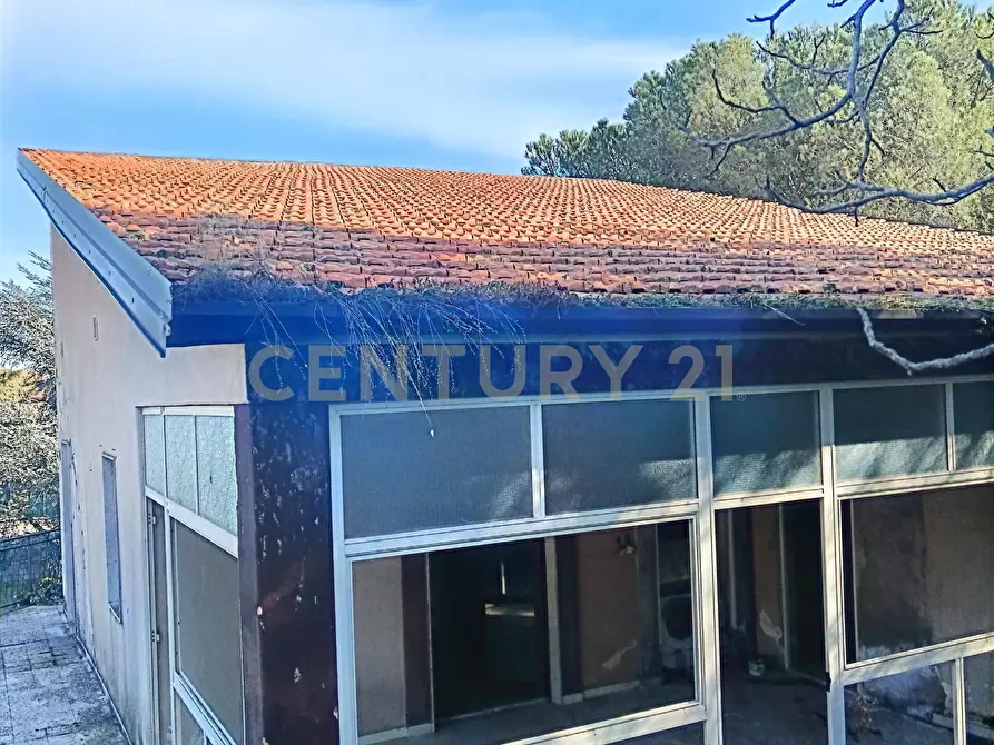 Immagine 37 di Casa indipendente in vendita  in Via Tarderia 79 a Pedara