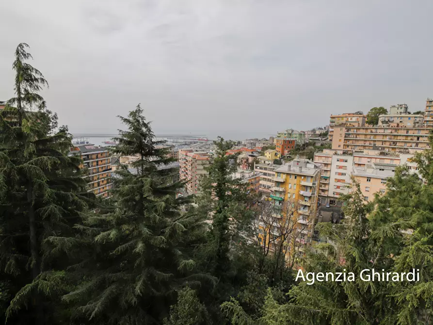Immagine 41 di Quadrilocale in affitto  in Via Briscata 28 a Genova