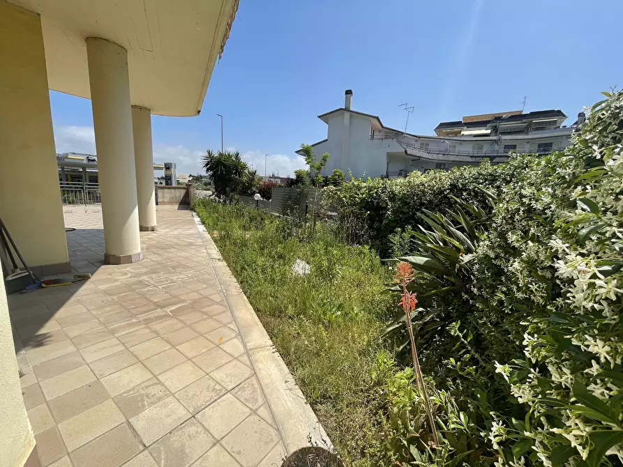 Immagine 25 di Trilocale in vendita  in Via del Parco 3 a Nettuno