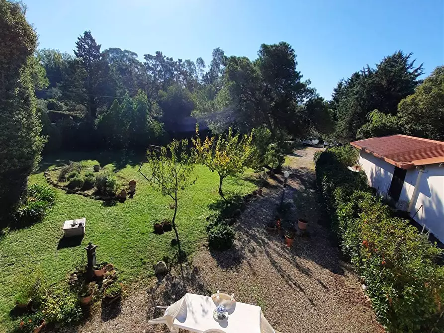 Immagine 9 di Appartamento in vendita  a Livorno