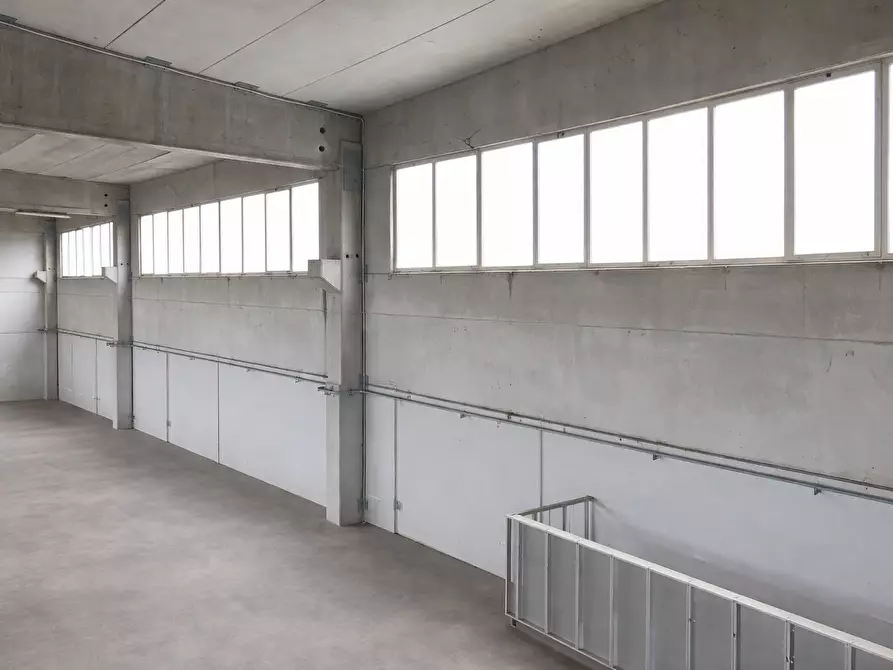 Immagine 4 di Attività artigianale in vendita  a Parma