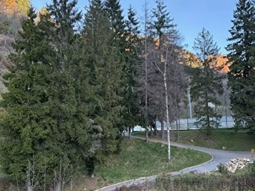 Immagine 19 di Albergo/B&B/Residence in vendita  in VIA NAZIONALE 2 a Sella Giudicarie