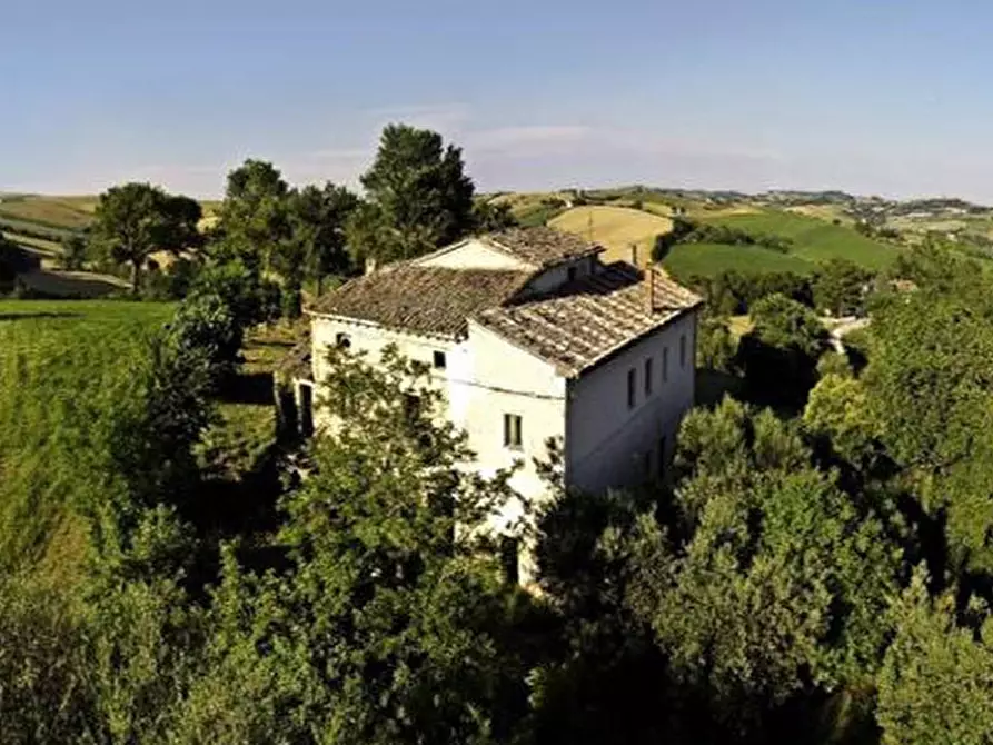 Immagine 4 di Rustico / casale in vendita  in CASTEL LEONE DI SUASA a Ostra Vetere