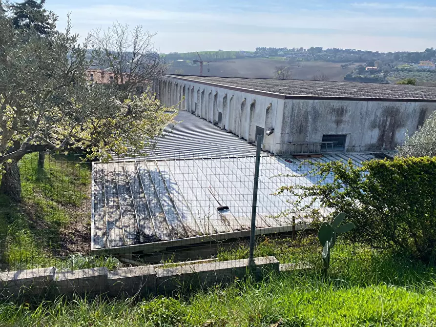 Immagine 15 di Attività artigianale in vendita  a Sirolo