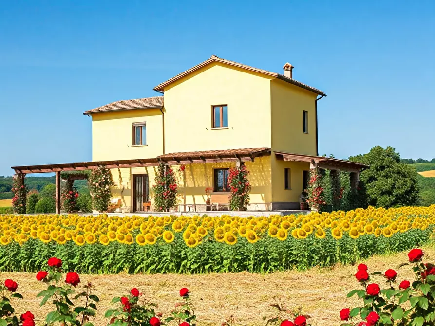 Immagine 1 di Rustico / casale in vendita  in Filottrano a Filottrano